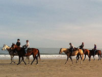 Image for: FAQ: When Can I Ride Horses on the Beach?