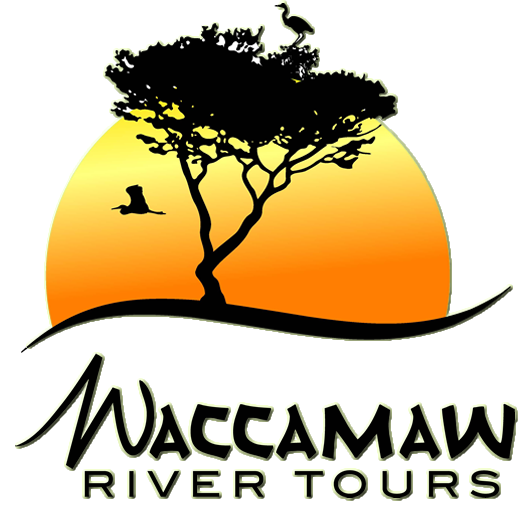 Waccamaw River Tours Logo