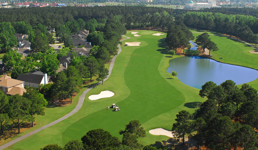 Myrtlewood-Palmetto.jpg