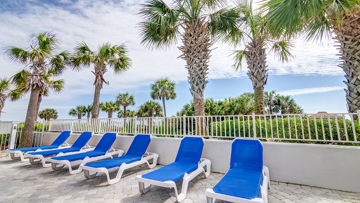 Forest Dunes Resort