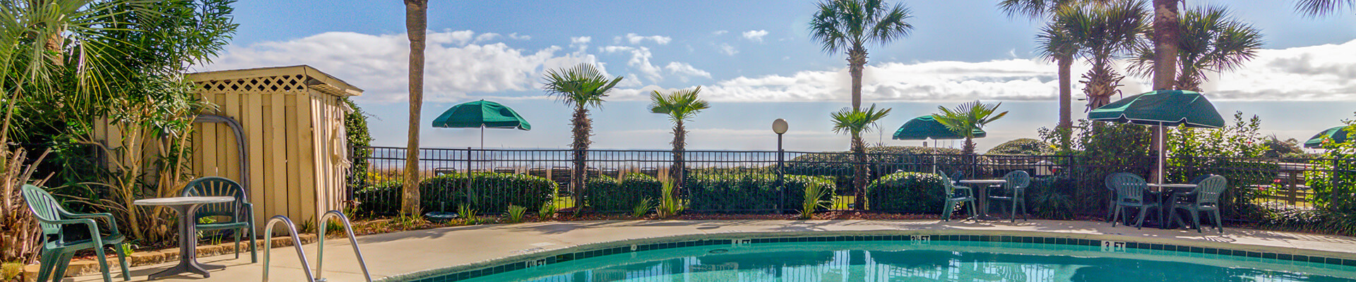 palms-header