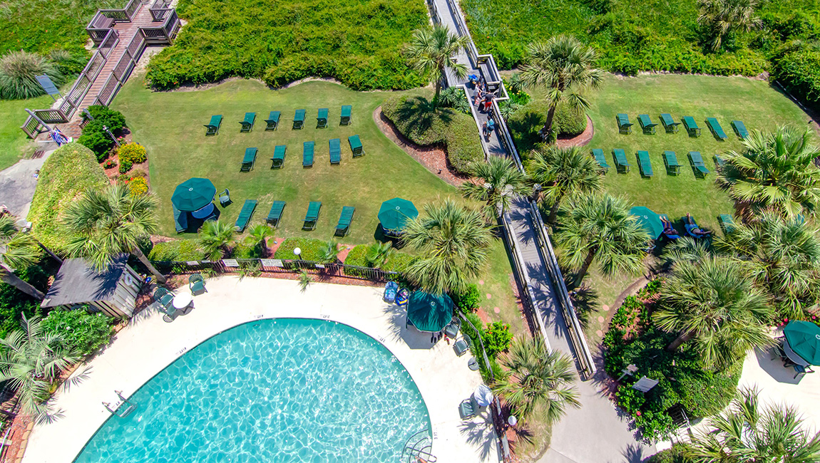 Palms Resort