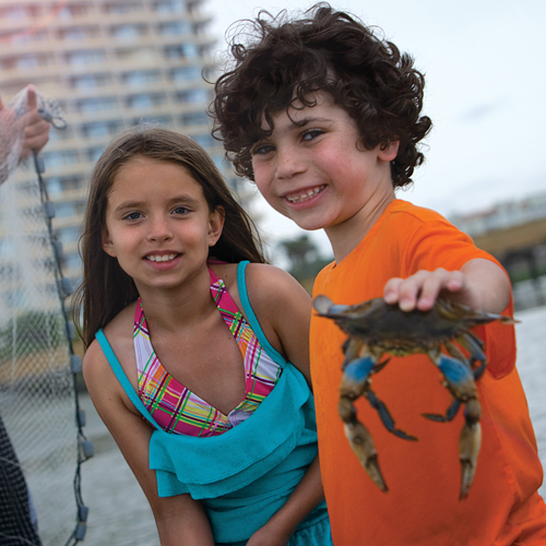 boy holding blue crab on the beach at ocean creek resort