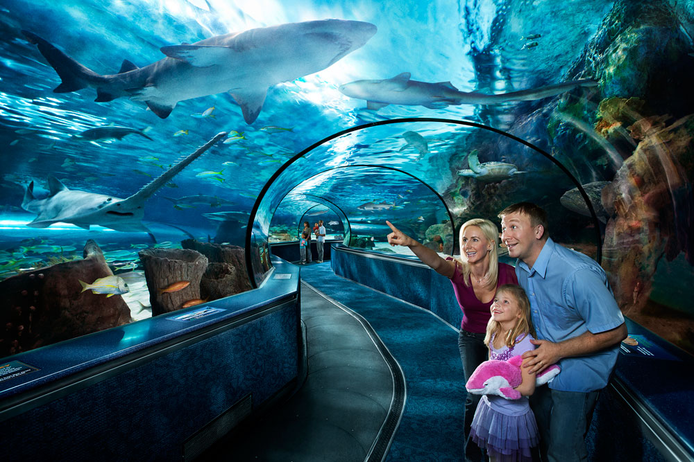 Ripley's Aquarium at Broadway at the Beach